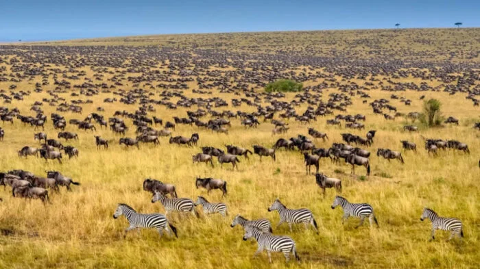 2-Day Tsavo East Safari Adventure from Mombasa