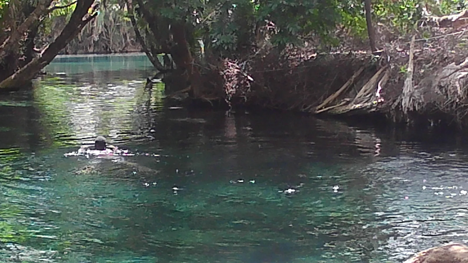 Kikuletwa Hot Springs (Chemka) Day Trip – From Moshi / Arusha