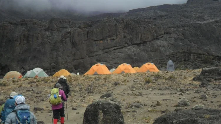 10-Day Mount Kilimanjaro - Lemosho Route