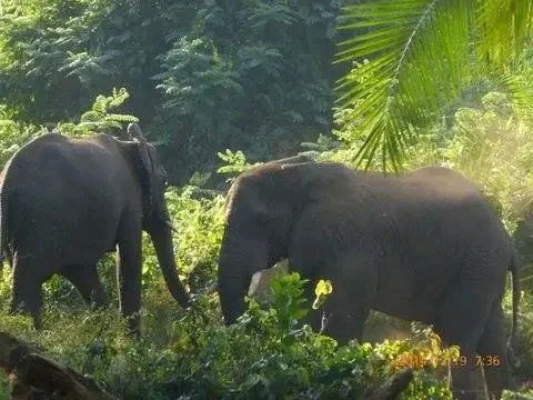 4-Day Mikumi National Park Safari (from Dar Es Salaam)