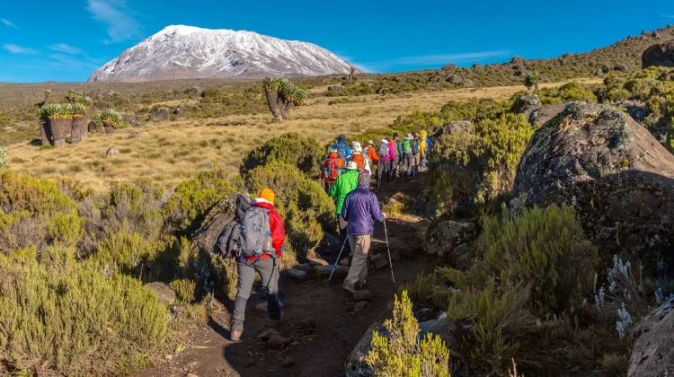 2-Day Kilimanjaro Hike via Marangu Route