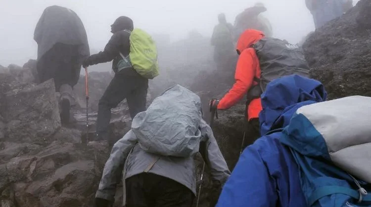 8-Day Big Five Safari, Kilimanjaro & Coffee Tour