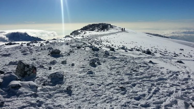 Ultimate 3-Day A Taste of Kilimanjaro-Lemosho to Shira Peak from Moshi