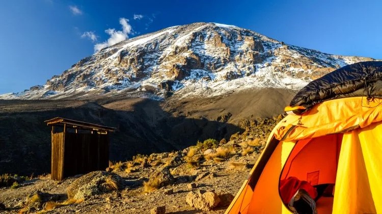 7-Day Higher Summit Rate Lemosho Route, Mt Kilimanjaro