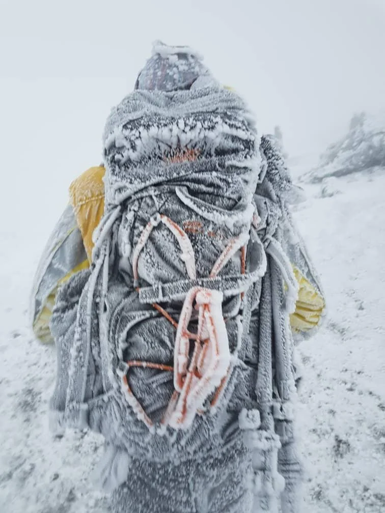 7-Day Safari and Mount Kilimanjaro Hike