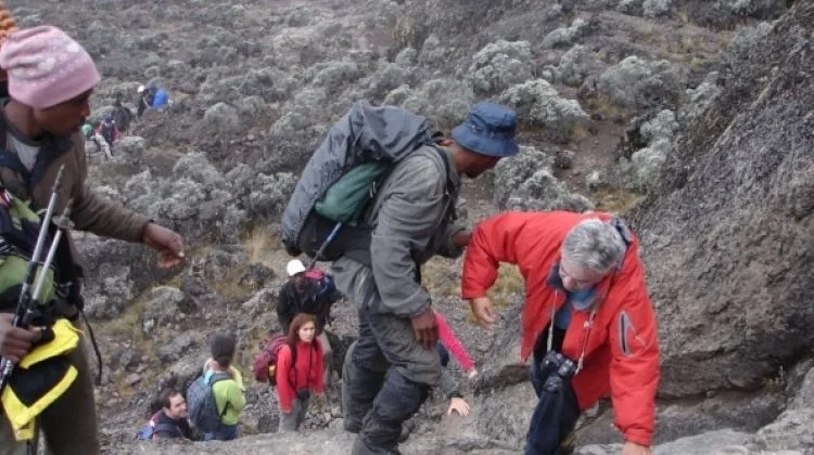 8-Day Lemosho Route Climbing Kilimanjaro with Crater