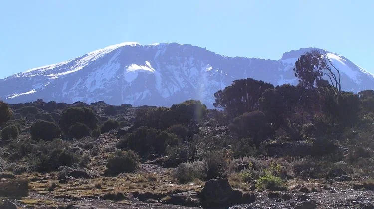 Experience 9-Day Kilimanjaro Expedition via Lemosho Route