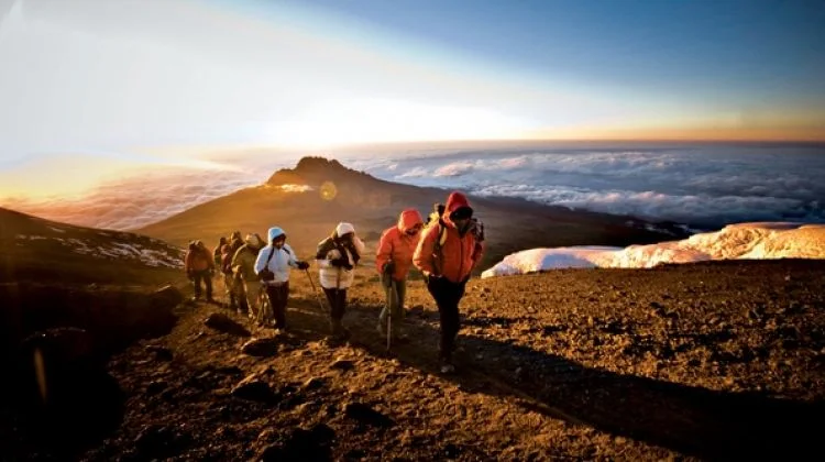 6-Day Kilimanjaro via Machame Route