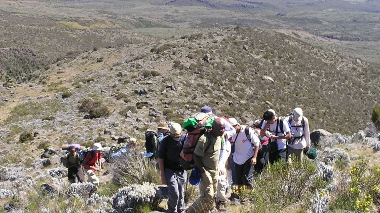 The Best 6-Day Kilimanjaro Climb Rongai Route