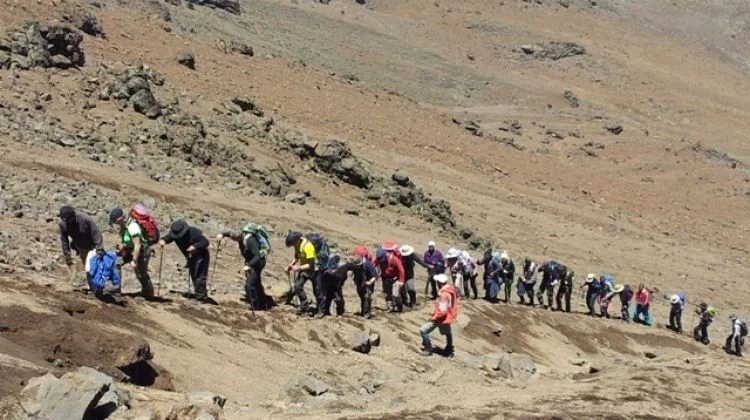 Experience 5-Day Rongai Route | Kilimanjaro Climbing