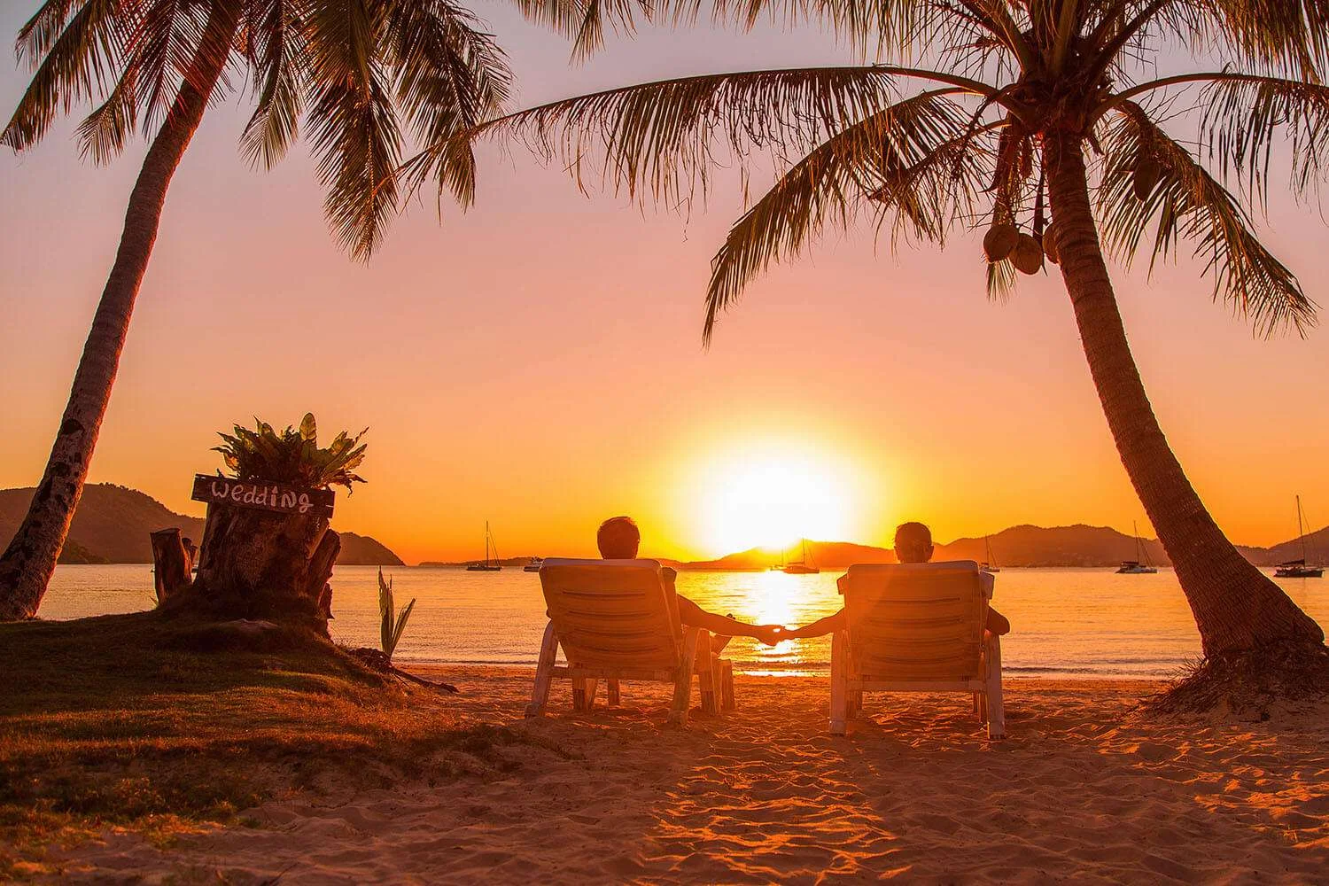 4-Day Saadani NP & Nyerere NP by Jeep from Bagamoyo