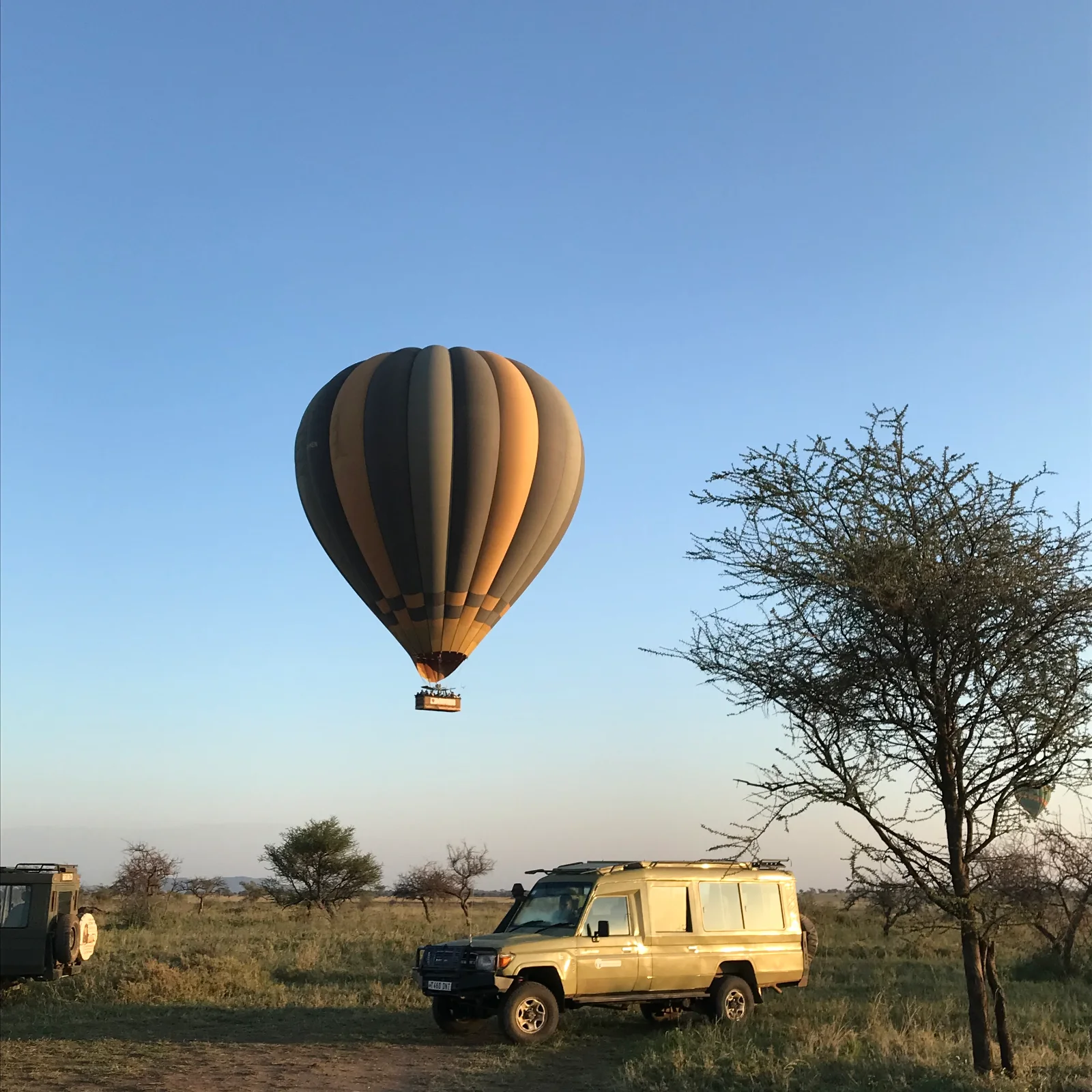 Hot Air Ballon Safari 2-Day to Tarangire National Park Tour