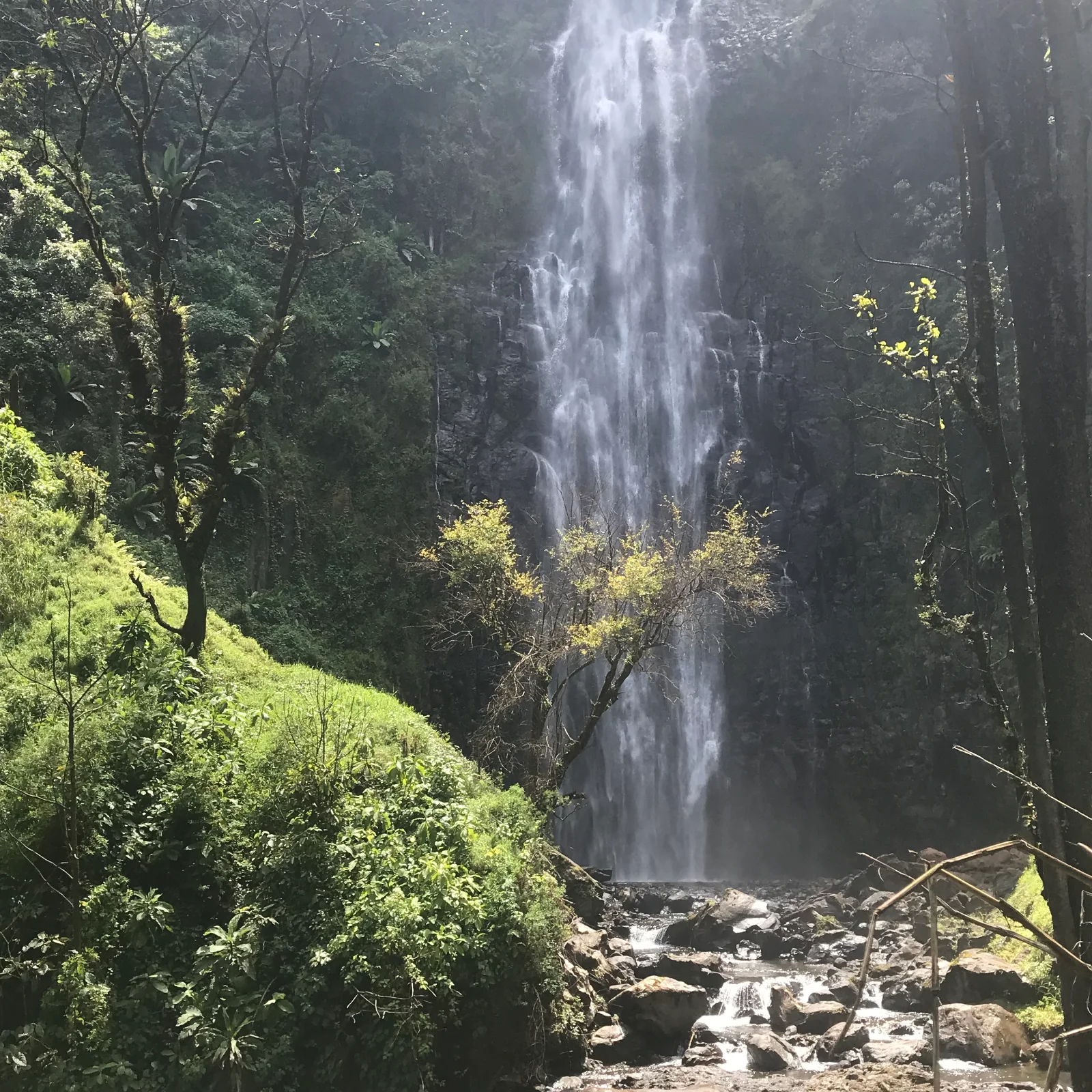 2-Day Arusha NP, Materuni Waterfall, and Chemka Hot Springs Tour