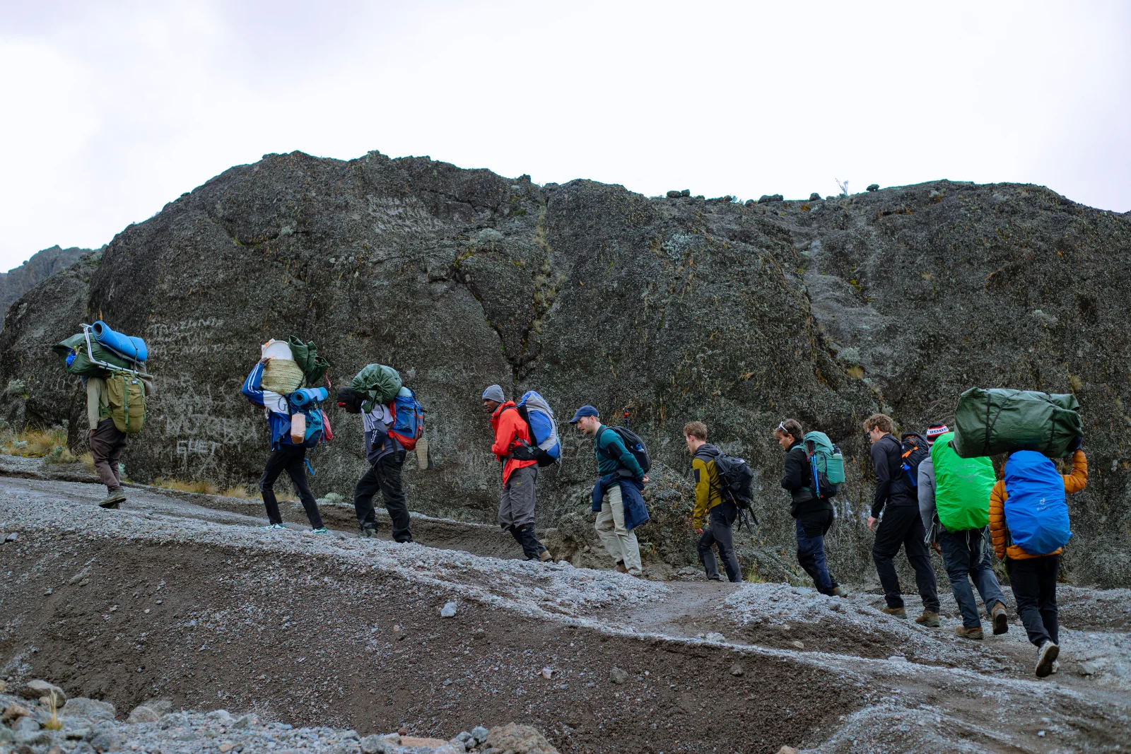 7-Day Kilimanjaro Trekking - Lemosho Route