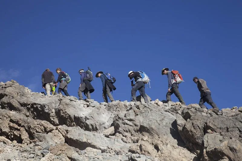 10-Day Kilimanjaro Expedition via Northern Circuit Route