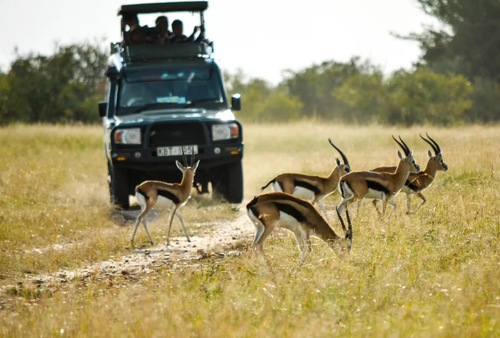 2-Day Saadan Safari from Dar Es Salaam-Bush & Beach