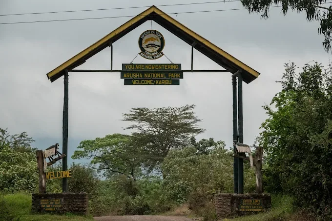 1-Day Arusha National Park Walking Safari Private Tour