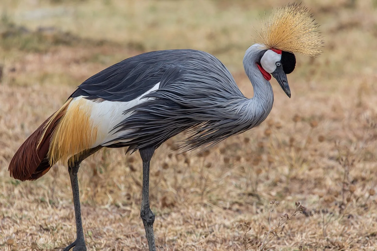 1-Day Saadani National Park Day Trip