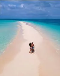 7-Day Zanzibar Island, Mikumi & Udzungwa Expedition