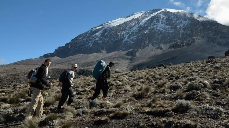 6-Day Trek on the Machame Trail Conquering Kilimanjaro