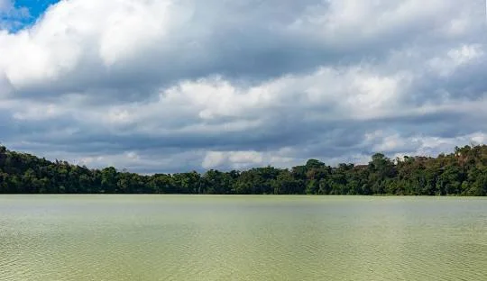 Uncover 2-Day  Arusha National Park and Lake Duluti Tour