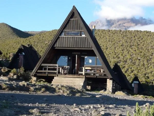 1-Day Mount Kilimanjaro Hiking up to Mandara Hut