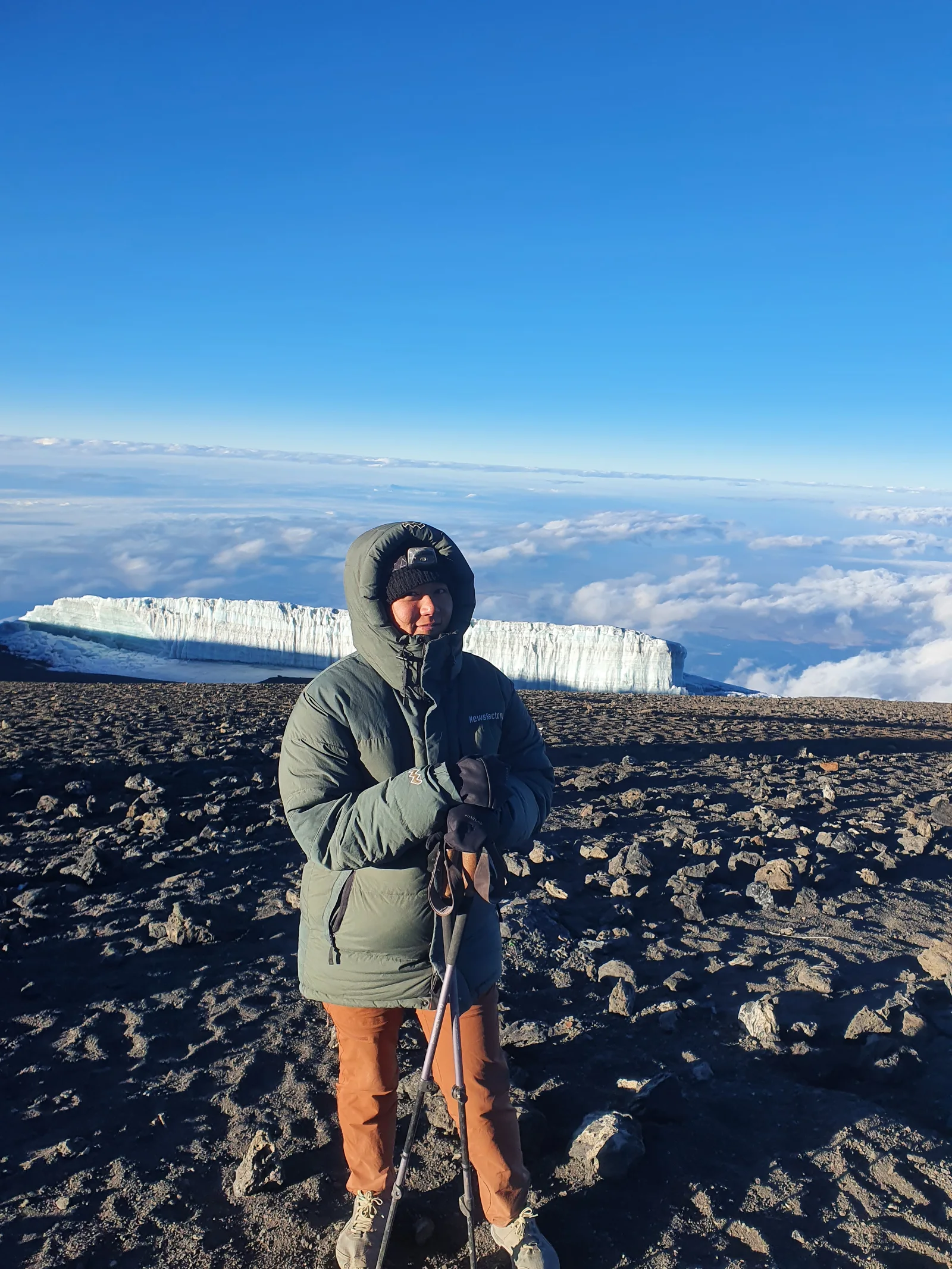 Explore The Best 1-Day Trip Lemosho-Western Slope's Big Tree Forest