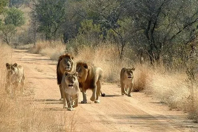 2-Day Tanzania Great Adventure Shared Group Safari